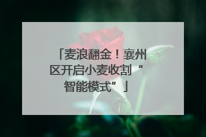 麦浪翻金！襄州区开启小麦收割“智能模式”
