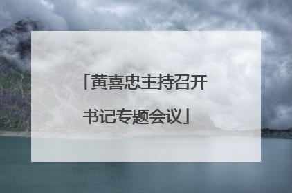 黄喜忠主持召开书记专题会议