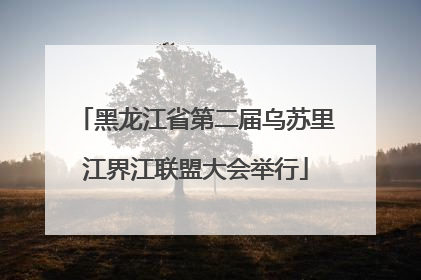 黑龙江省第二届乌苏里江界江联盟大会举行