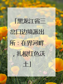 黑龙江省三岔口边境派出所：在界河畔，扎根红色沃土