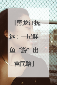 黑龙江抚远：一尾鲜鱼“游”出富民路