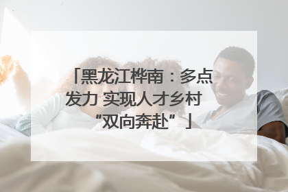 黑龙江桦南：多点发力 实现人才乡村“双向奔赴”