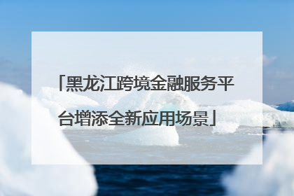 黑龙江跨境金融服务平台增添全新应用场景