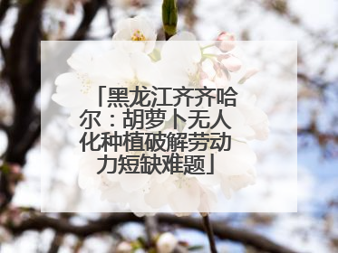黑龙江齐齐哈尔：胡萝卜无人化种植破解劳动力短缺难题