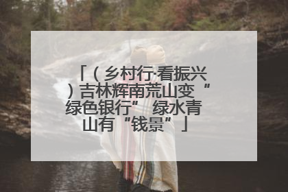 （乡村行·看振兴）吉林辉南荒山变“绿色银行” 绿水青山有“钱景”
