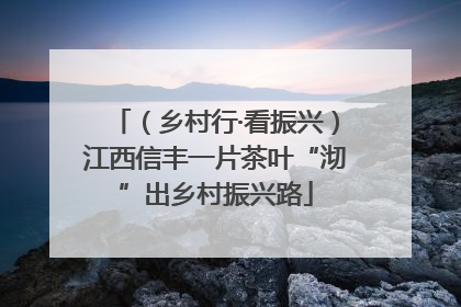 （乡村行·看振兴）江西信丰一片茶叶“沏”出乡村振兴路