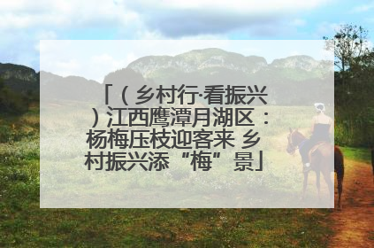 （乡村行·看振兴）江西鹰潭月湖区：杨梅压枝迎客来 乡村振兴添“梅”景