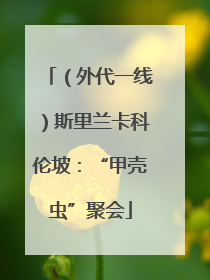 （外代一线）斯里兰卡科伦坡：“甲壳虫”聚会