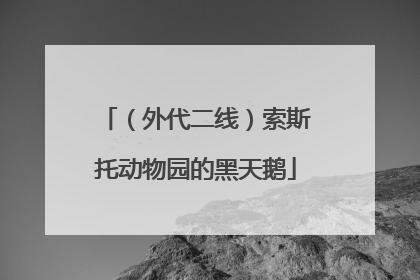 （外代二线）索斯托动物园的黑天鹅