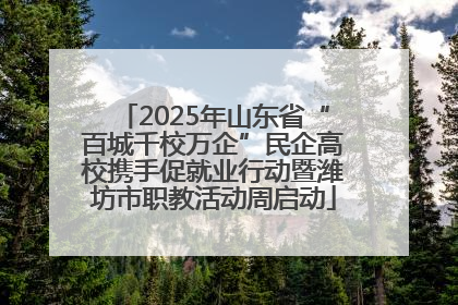 2025年山东省“百城千校万企”民企高校携手促就业行动暨潍坊市职教活动周启动