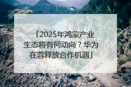 2025年鸿蒙产业生态将有何动向？华为在蓉释放合作机遇