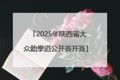 2025年陕西省大众跆拳道公开赛开赛