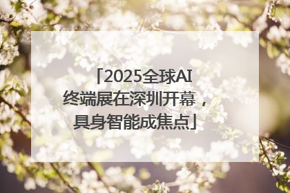 2025全球AI终端展在深圳开幕，具身智能成焦点