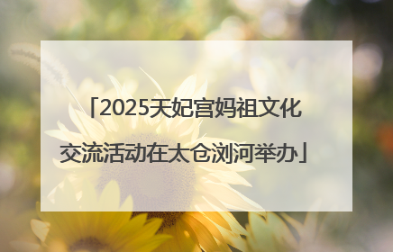2025天妃宫妈祖文化交流活动在太仓浏河举办