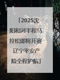 2025沈阳和河半程马拉松即将开赛 辽宁平安产险全程护航