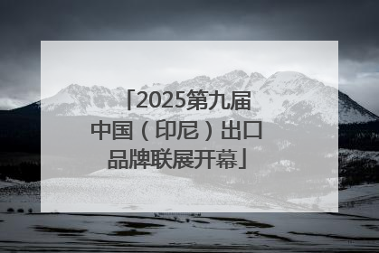 2025第九届中国（印尼）出口品牌联展开幕