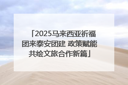 2025马来西亚祈福团来泰安团建 政策赋能共绘文旅合作新篇