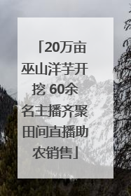 20万亩巫山洋芋开挖 60余名主播齐聚田间直播助农销售