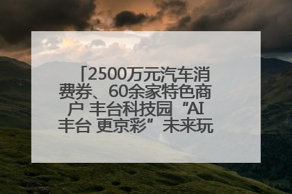 2500万元汽车消费券、60余家特色商户 丰台科技园“AI丰台 更京彩”未来玩家市集活动正式开幕