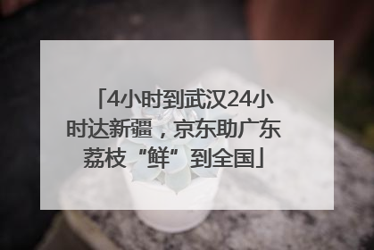 4小时到武汉24小时达新疆，京东助广东荔枝“鲜”到全国
