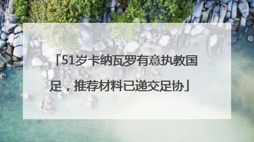 51岁卡纳瓦罗有意执教国足，推荐材料已递交足协
