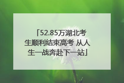 52.85万湖北考生顺利结束高考 从人生一战奔赴下一站
